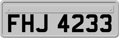FHJ4233