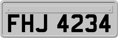 FHJ4234