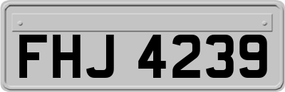 FHJ4239