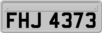 FHJ4373