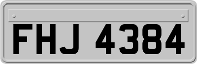 FHJ4384