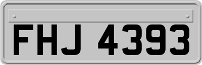 FHJ4393