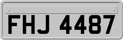 FHJ4487