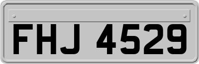 FHJ4529