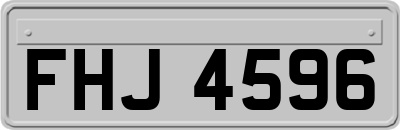 FHJ4596