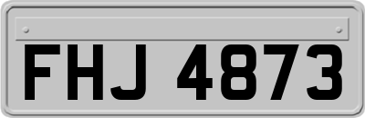 FHJ4873