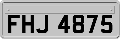 FHJ4875