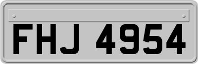 FHJ4954