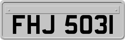 FHJ5031