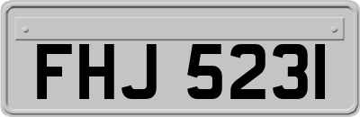 FHJ5231