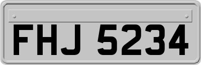 FHJ5234