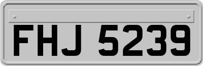 FHJ5239