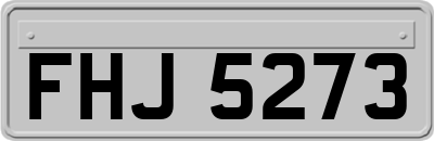FHJ5273