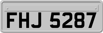 FHJ5287