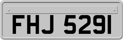 FHJ5291