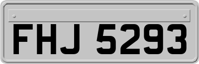 FHJ5293