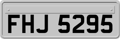 FHJ5295