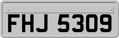 FHJ5309