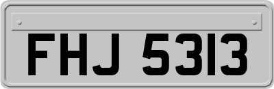 FHJ5313