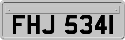 FHJ5341