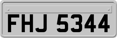 FHJ5344