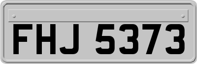 FHJ5373