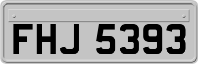 FHJ5393