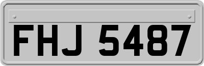 FHJ5487