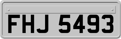 FHJ5493