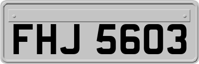 FHJ5603