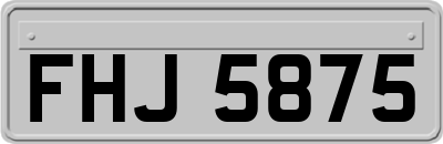FHJ5875