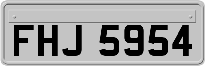 FHJ5954