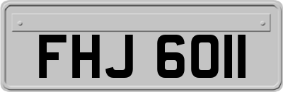 FHJ6011