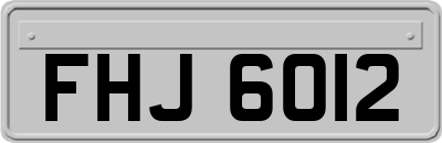 FHJ6012