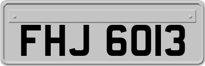 FHJ6013