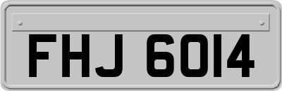 FHJ6014