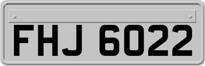 FHJ6022