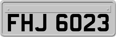 FHJ6023