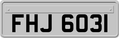 FHJ6031