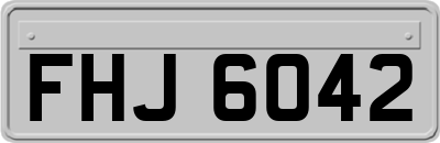 FHJ6042