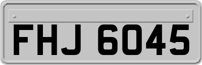FHJ6045