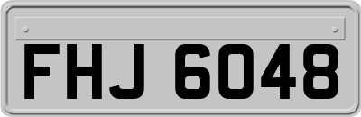 FHJ6048