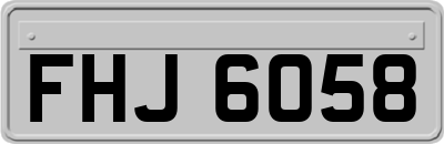 FHJ6058