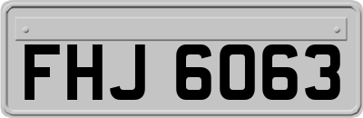FHJ6063