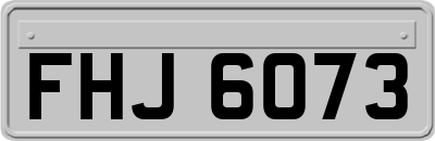 FHJ6073