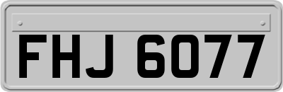 FHJ6077