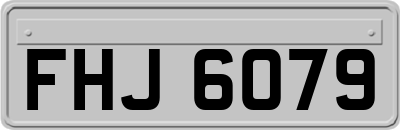 FHJ6079