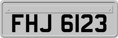 FHJ6123