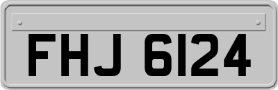FHJ6124