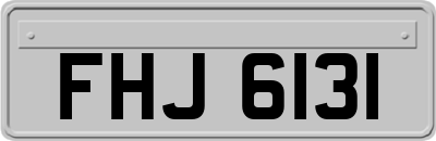FHJ6131
